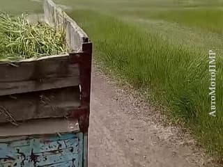  Квадроцикл утилитарный • Квадроциклы  в ПМР • АвтоМотоПМР - Моторынок ПМР.