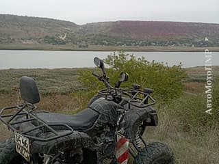 ATV tourist, 2020, 180 cm³ • ATVs  in PMR • AutoMotoPMR - Motor market of PMR.