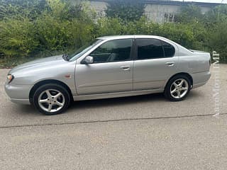 Vând Nissan Primera, 2002, diesel, manuala. Piata auto Pridnestrovie, Tiraspol. AutoMotoPMR.